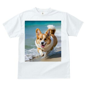 R[M[ TVc fB[X t@  t  vg JWA 킢 lԗp h ̃fUC ʔ C R[M[ l g