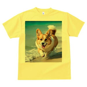 R[M[ TVc fB[X t@  t  vg JWA 킢 lԗp h ̃fUC ʔ C R[M[ l g