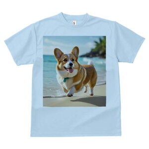 R[M[ TVc fB[X t@  t  vg JWA 킢 lԗp h ̃fUC ʔ r[` R[M[ C  l