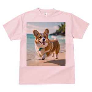 R[M[ TVc fB[X t@  t  vg JWA 킢 lԗp h ̃fUC ʔ r[` R[M[ C  l