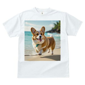 R[M[ TVc fB[X t@  t  vg JWA 킢 lԗp h ̃fUC ʔ r[` R[M[ C  l