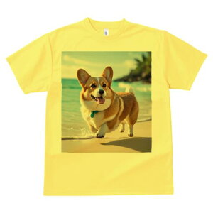 R[M[ TVc fB[X t@  t  vg JWA 킢 lԗp h ̃fUC ʔ r[` R[M[ C  l