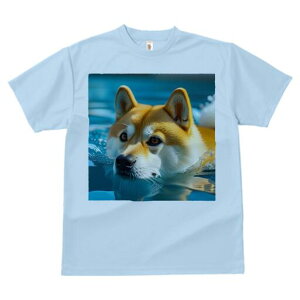 Č TVc fB[X t@  t  vg JWA 킢 lԗp h ̃fUC ʔ  Č v[