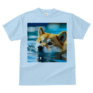 Č TVc fB[X t@  t  vg JWA 킢 lԗp h ̃fUC ʔ  Č v[