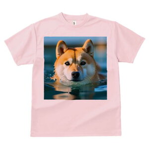 Č TVc fB[X t@  t  vg JWA 킢 lԗp h ̃fUC ʔ  Č 