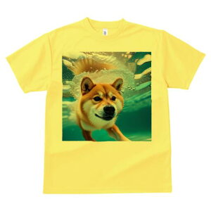 Č TVc fB[X t@  t  vg JWA 킢 lԗp h ̃fUC ʔ  Č 