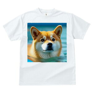 Č TVc fB[X t@  t  vg JWA 킢 lԗp h ̃fUC ʔ  Č v[