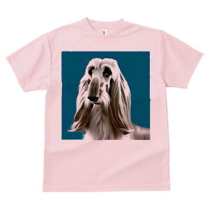 AtKnEh TVc fB[X t@  t  vg JWA 킢 lԗp h ̃fUC ʔ AtKnEh