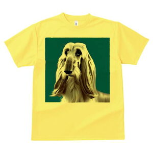 AtKnEh TVc fB[X t@  t  vg JWA 킢 lԗp h ̃fUC ʔ AtKnEh