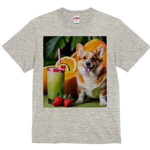 R[M[ TVc fB[X t@  t  vg JWA 킢 lԗp h ̃fUC ʔ W[X R[M[  IW