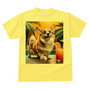 R[M[ TVc fB[X t@  t  vg JWA 킢 lԗp h ̃fUC ʔ W[X R[M[ IW