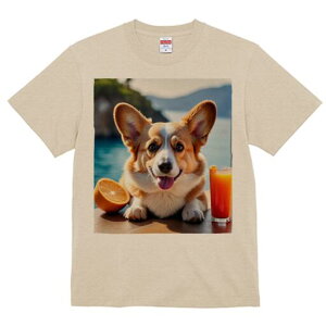 R[M[ TVc fB[X t@  t  vg JWA 킢 lԗp h ̃fUC ʔ IWW[X R[M[ IW C