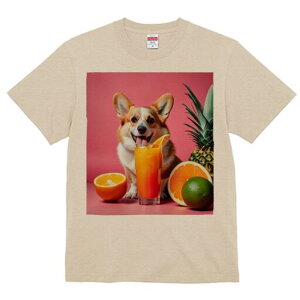 R[M[ TVc fB[X t@  t  vg JWA 킢 lԗp h ̃fUC ʔ W[X R[M[ IW pCibv C