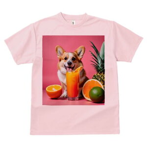 R[M[ TVc fB[X t@  t  vg JWA 킢 lԗp h ̃fUC ʔ W[X R[M[ IW pCibv C