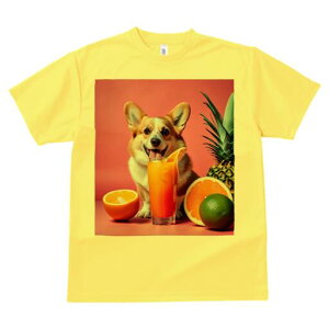 R[M[ TVc fB[X t@  t  vg JWA 킢 lԗp h ̃fUC ʔ W[X R[M[ IW pCibv C