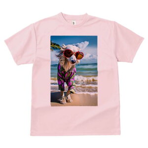 AtKnEh TVc fB[X t@  t  vg JWA 킢 lԗp h ̃fUC ʔ TOX AtKnEh C r[` AnVc