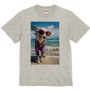 AtKnEh TVc fB[X t@  t  vg JWA 킢 lԗp h ̃fUC ʔ TOX AtKnEh C r[` AnVc