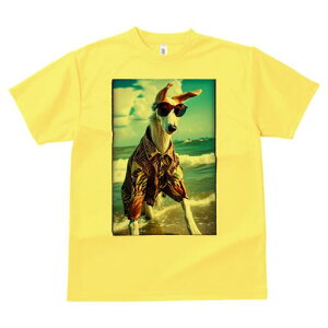 {]C TVc fB[X t@  t  vg JWA 킢 lԗp h ̃fUC ʔ AnVc {]C TOX C r[`