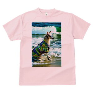 AtKnEh TVc fB[X t@  t  vg JWA 킢 lԗp h ̃fUC ʔ TOX AtKnEh C g AnVc