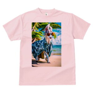 {]C TVc fB[X t@  t  vg JWA 킢 lԗp h ̃fUC ʔ AnVc {]C r[` TOX V̖