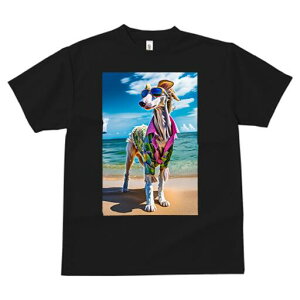 {]C TVc fB[X t@  t  vg JWA 킢 lԗp h ̃fUC ʔ r[` {]C C TOX Vc