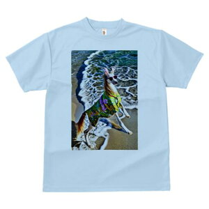 AtKnEh TVc fB[X t@  t  vg JWA 킢 lԗp h ̃fUC ʔ TOX AtKnEh AnVc C g