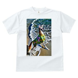 AtKnEh TVc fB[X t@  t  vg JWA 킢 lԗp h ̃fUC ʔ TOX AtKnEh AnVc C g