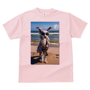 AtKnEh TVc fB[X t@  t  vg JWA 킢 lԗp h ̃fUC ʔ TOX AtKnEh r[` C Vc