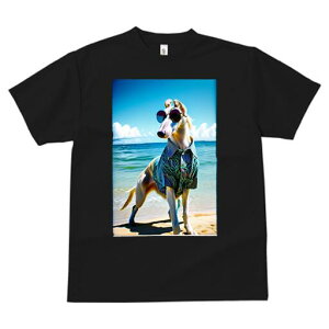 {]C TVc fB[X t@  t  vg JWA 킢 lԗp h ̃fUC ʔ r[` {]C C  TOX