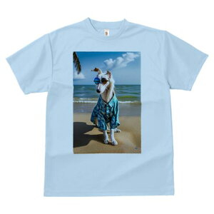 {]C TVc fB[X t@  t  vg JWA 킢 lԗp h ̃fUC ʔ r[` {]C C  TOX