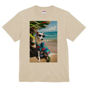 {]C TVc fB[X t@  t  vg JWA 킢 lԗp h ̃fUC ʔ r[` {]C C z 