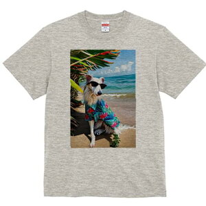 {]C TVc fB[X t@  t  vg JWA 킢 lԗp h ̃fUC ʔ r[` {]C C z 