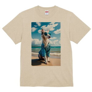 AtKnEh TVc fB[X t@  t  vg JWA 킢 lԗp h ̃fUC ʔ r[` AtKnEh C  _