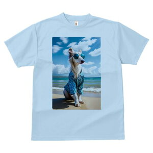 AtKnEh TVc fB[X t@  t  vg JWA 킢 lԗp h ̃fUC ʔ r[` AtKnEh C  _