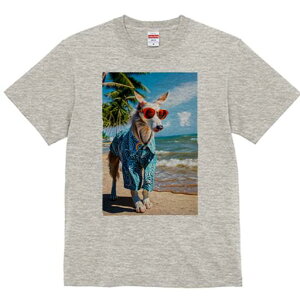 AtKnEh TVc fB[X t@  t  vg JWA 킢 lԗp h ̃fUC ʔ r[` AtKnEh C z x