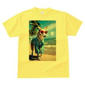 AtKnEh TVc fB[X t@  t  vg JWA 킢 lԗp h ̃fUC ʔ r[` AtKnEh C z x