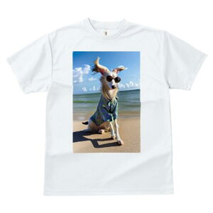 {]C TVc fB[X t@  t  vg JWA 킢 lԗp h ̃fUC ʔ r[` {]C C  _