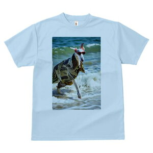 {]C TVc fB[X t@  t  vg JWA 킢 lԗp h ̃fUC ʔ TOX {]C C g AnVc