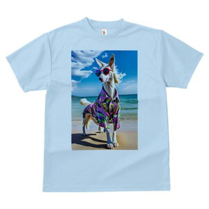 AtKnEh TVc fB[X t@  t  vg JWA 킢 lԗp h ̃fUC ʔ AnVc AtKnEh r[` C TOX