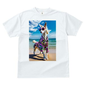 AtKnEh TVc fB[X t@  t  vg JWA 킢 lԗp h ̃fUC ʔ AnVc AtKnEh r[` C TOX