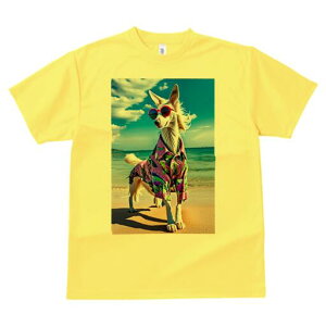 AtKnEh TVc fB[X t@  t  vg JWA 킢 lԗp h ̃fUC ʔ AnVc AtKnEh r[` C TOX