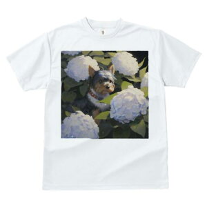 [NV[eA TVc Y LbY t@  t  vg JWA 킢 lԗp h ̃fUC ʔ AWTC [NV[eA  A