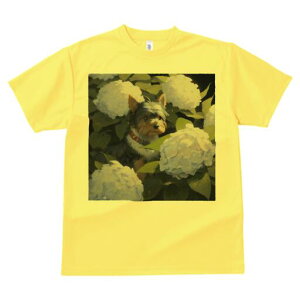 [NV[eA TVc fB[X t@  t  vg JWA 킢 lԗp h ̃fUC ʔ AWTC [NV[eA  A