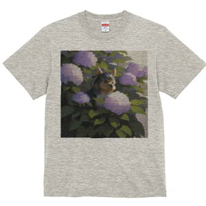 [NV[eA TVc fB[X t@  t  vg JWA 킢 lԗp h ̃fUC ʔ AWTC [NV[eA  A