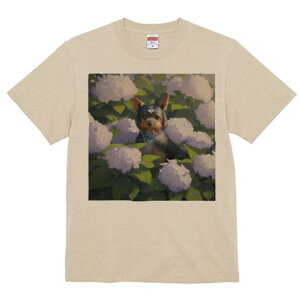 [NV[eA TVc fB[X t@  t  vg JWA 킢 lԗp h ̃fUC ʔ AWTC [NV[eA  t