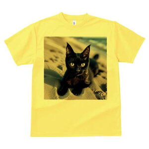 TVc fB[X t@  t  vg JWA 킢 lԗp h ̃fUC ʔ  C