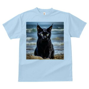 TVc fB[X t@  t  vg JWA 킢 lԗp h ̃fUC ʔ C l g