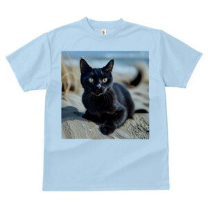 TVc fB[X t@  t  vg JWA 킢 lԗp h ̃fUC ʔ L C l