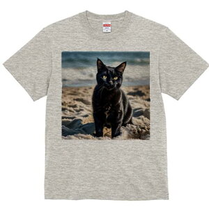 TVc fB[X t@  t  vg JWA 킢 lԗp h ̃fUC ʔ L C l