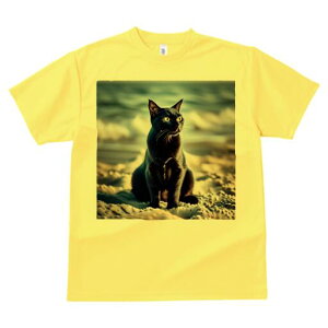 TVc fB[X t@  t  vg JWA 킢 lԗp h ̃fUC ʔ L C l